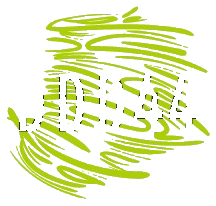 DDD44